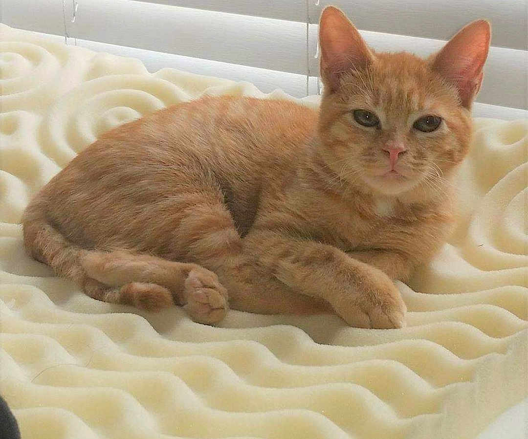 Quincy