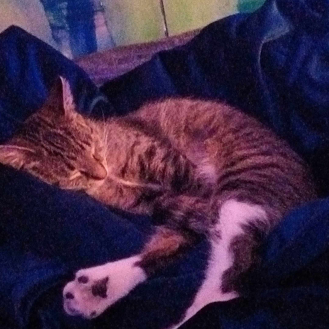 Luna