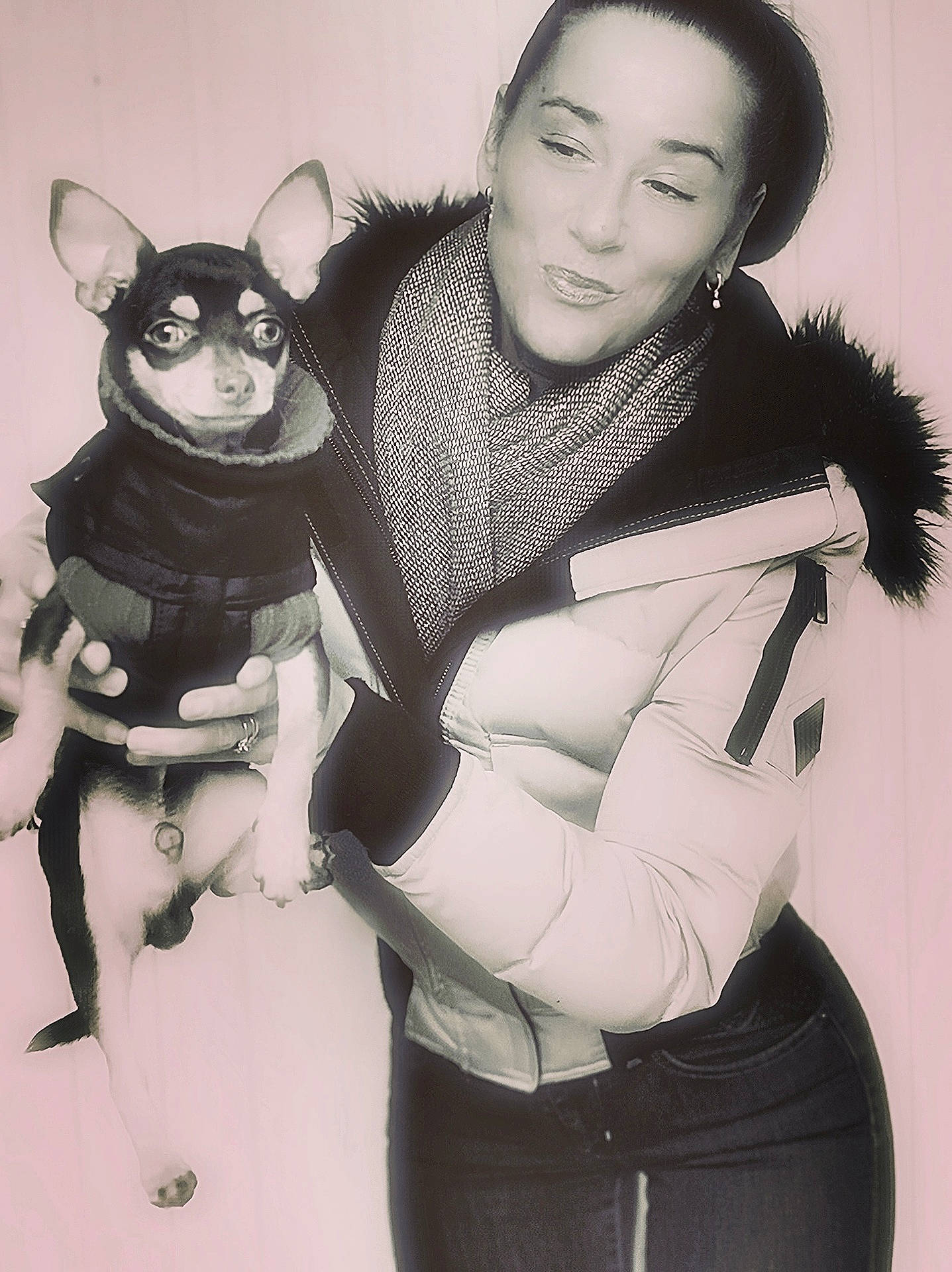 Pancho a rejoint le concours — aidez-le/la à gagner de superbes lots ! abdomen, black_hair, canidae, costume, ear, fur, illustration, smile, top, trunk