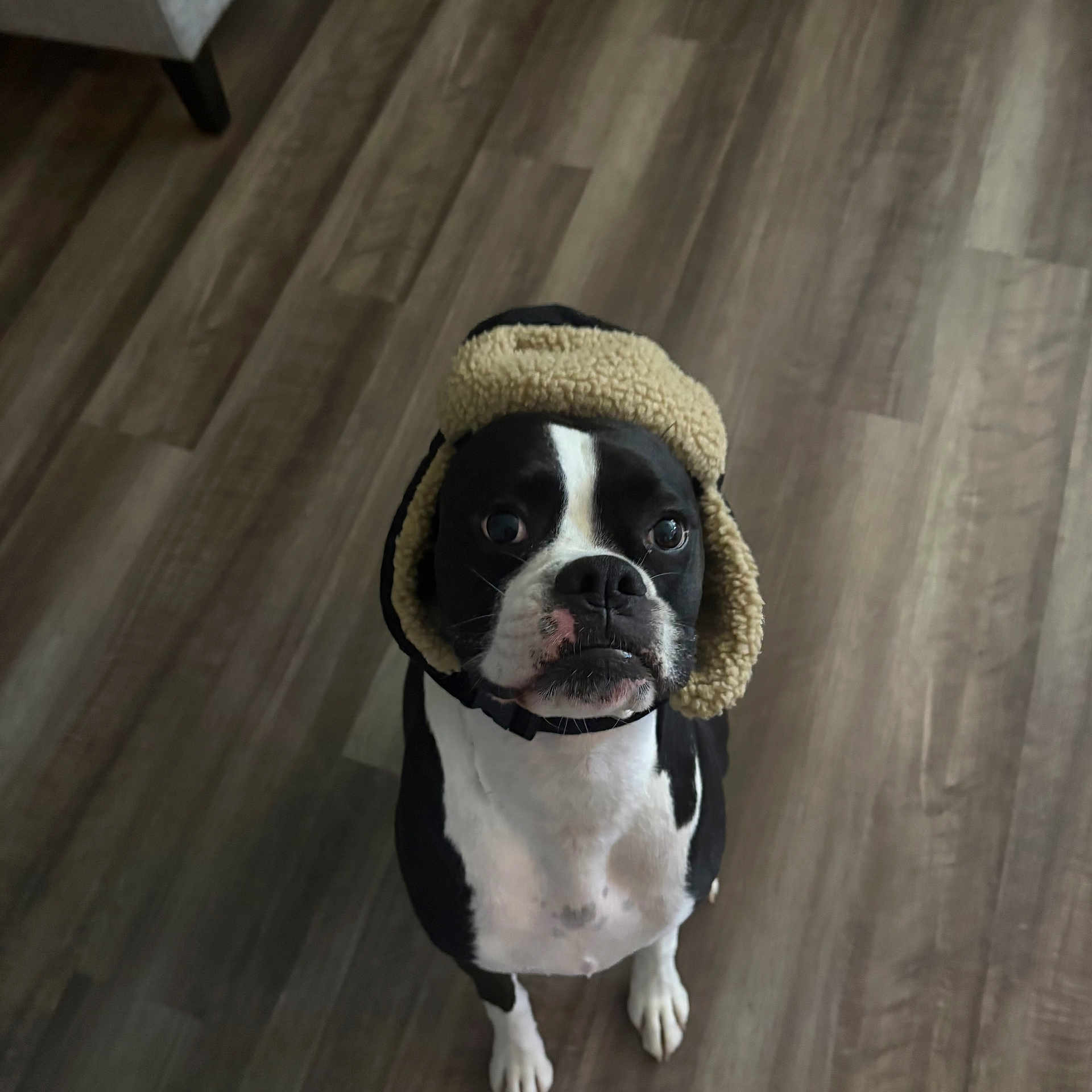 Tux
