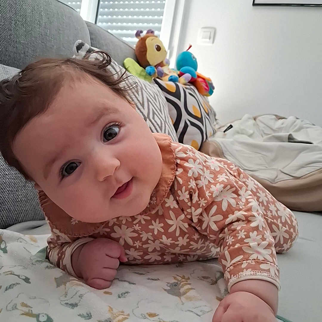 Lilia