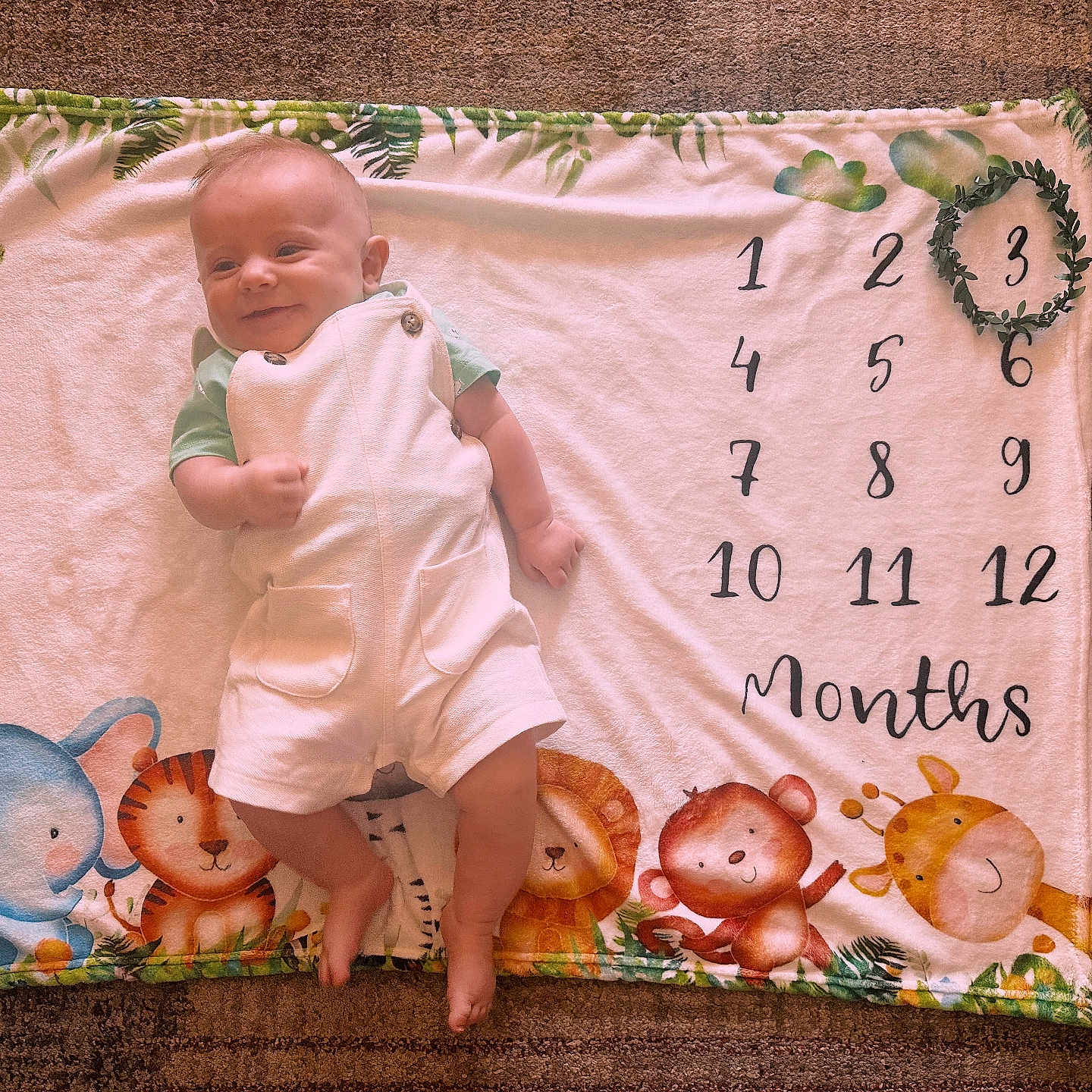 Gabriel joined the competition — help win amazing prizes! baby, infant, smile, milestone_blanket, animal_illustrations, elephant, tiger, lion, monkey, giraffe, white_overalls, green_shirt, carpet, wood_floor, months, wreath, cute, child, laying_down, happy