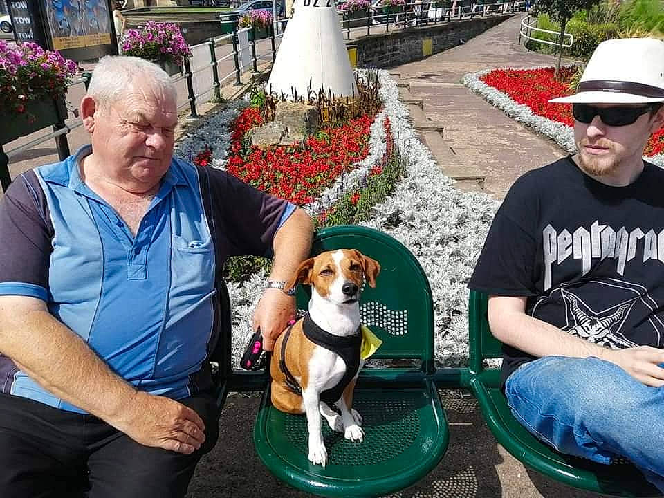 Charley joined the competition — help win amazing prizes! beagle, canidae, carnivore, companion_dog, dog, dog_breed, tourism, vacation