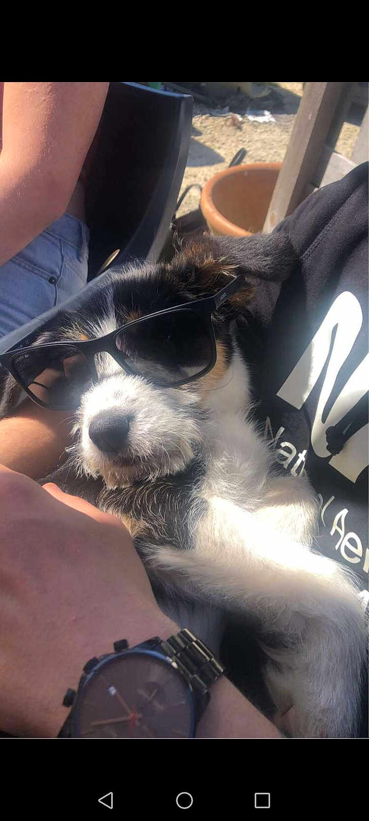 Oreo