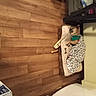 Daisy is registered to the contest to win money with this photo: bedding, bedroom, ceiling, comfort, fashion_design, floor, flooring, hardwood, ladder, linens, living_room, pattern, plywood, room, shelf, tints_and_shades, toy, visual_arts, wood, wood_stain