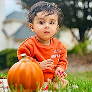 Veer is registered to the contest to win money with this photo: toddler, child, pumpkin, grass, orange_sweater, outdoor, autumn, nature, garden, fall, cute, portrait, baby, seasonal, hand, sitting, greenery, young_child, curious, face