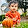 Veer