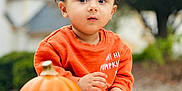 Veer is registered to the contest to win money with this photo: autumn, baby, child, curious, cute, face, fall, garden, grass, greenery, hand, nature, orange_sweater, outdoor, portrait, pumpkin, seasonal, sitting, toddler, young_child