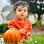 toddler, child, pumpkin, grass, orange_sweater, outdoor, autumn, nature, garden, fall, cute, portrait, baby, seasonal, hand, sitting, greenery, young_child, curious, face