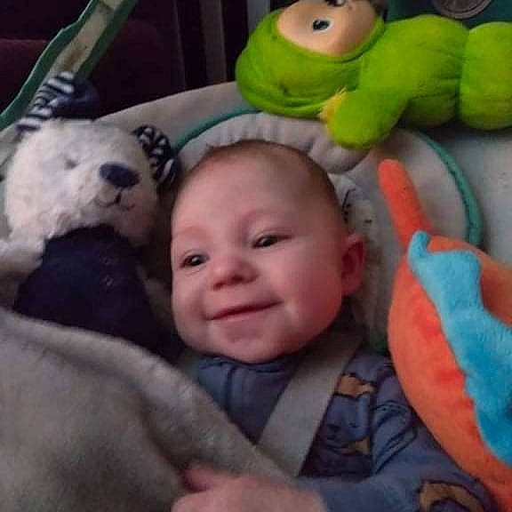 Grey joined the competition — help win amazing prizes! blue, cheek, comfort, eye, facial_expression, finger, happy, head, joy, mammal, mouth, nose, organ, person, photograph, product, skin, smile, textile, toy