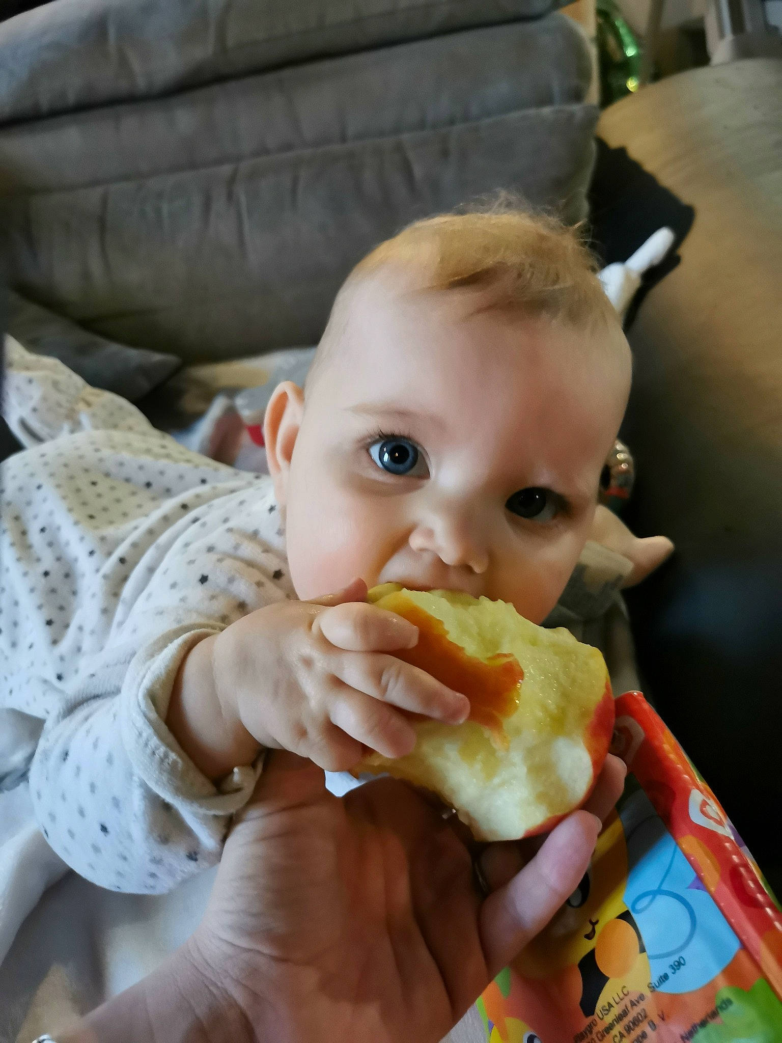éléna participe au concours pour gagner de l'argent avec cette photo : baby, baby_toddler_clothing, baked_goods, biting, child, comfort_food, cuisine, dish, eating, fast_food, finger, finger_food, food, food_craving, human, junk_food, nail, person, snack, taste