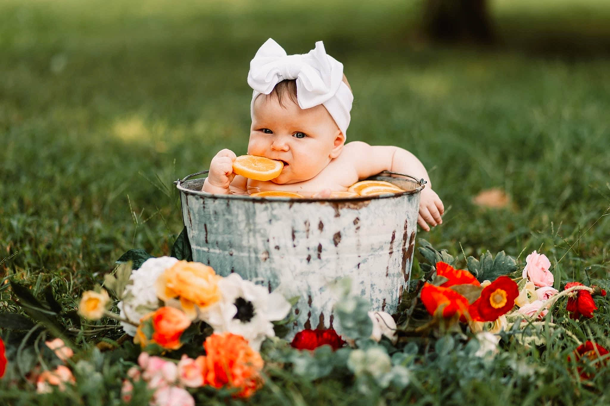 Finley is registered to the contest to win money with this photo: baby, baby_toddler_clothing, botany, child, dress, flower, flower_arranging, grass, hand, happy, hat, hybrid_tea_rose, lawn, meadow, people_in_nature, person, petal, photograph, plant, rose
