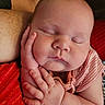 baby, sleeping, infant, hand, face, arm, striped_clothing, cushion, red, skin, peaceful, closeup, portrait, child, newborn, resting, soft_light, indoors, human, relaxation