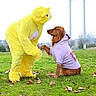 dog, golden_retriever, costume, yellow_suit, purple_hoodie, grass, park, outdoor, animal, pet, person_in_costume, playful, handshake, fall_leaves, trees, daytime, cute, funny, interaction, nature
