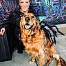 Daisy Mae is registered to the contest to win money with this photo: golden_retriever, dog, person, costume, halloween, spider_decoration, black_clothing, veil, smile, outdoor, concrete_floor, haunted_house_backdrop, festive, decorations, pet, animal, portrait, happy, celebration, friendship