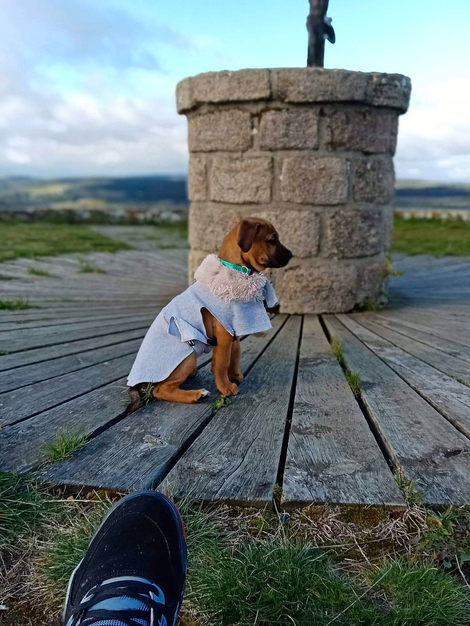 Aska a rejoint le concours — aidez-le/la à gagner de superbes lots ! grass, grass_family, photography, rural_area, sitting, vacation, water