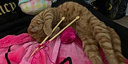 Gato joined the competition — help win amazing prizes! bedroom, cat, comfort, cozy, feline, furniture, home, indoor, knitting, knitting_needles, orange_tabby, pink_blanket, playful, plush_toy, relaxed, resting, soft_toys, striped_cat, stuffed_animal, yarn