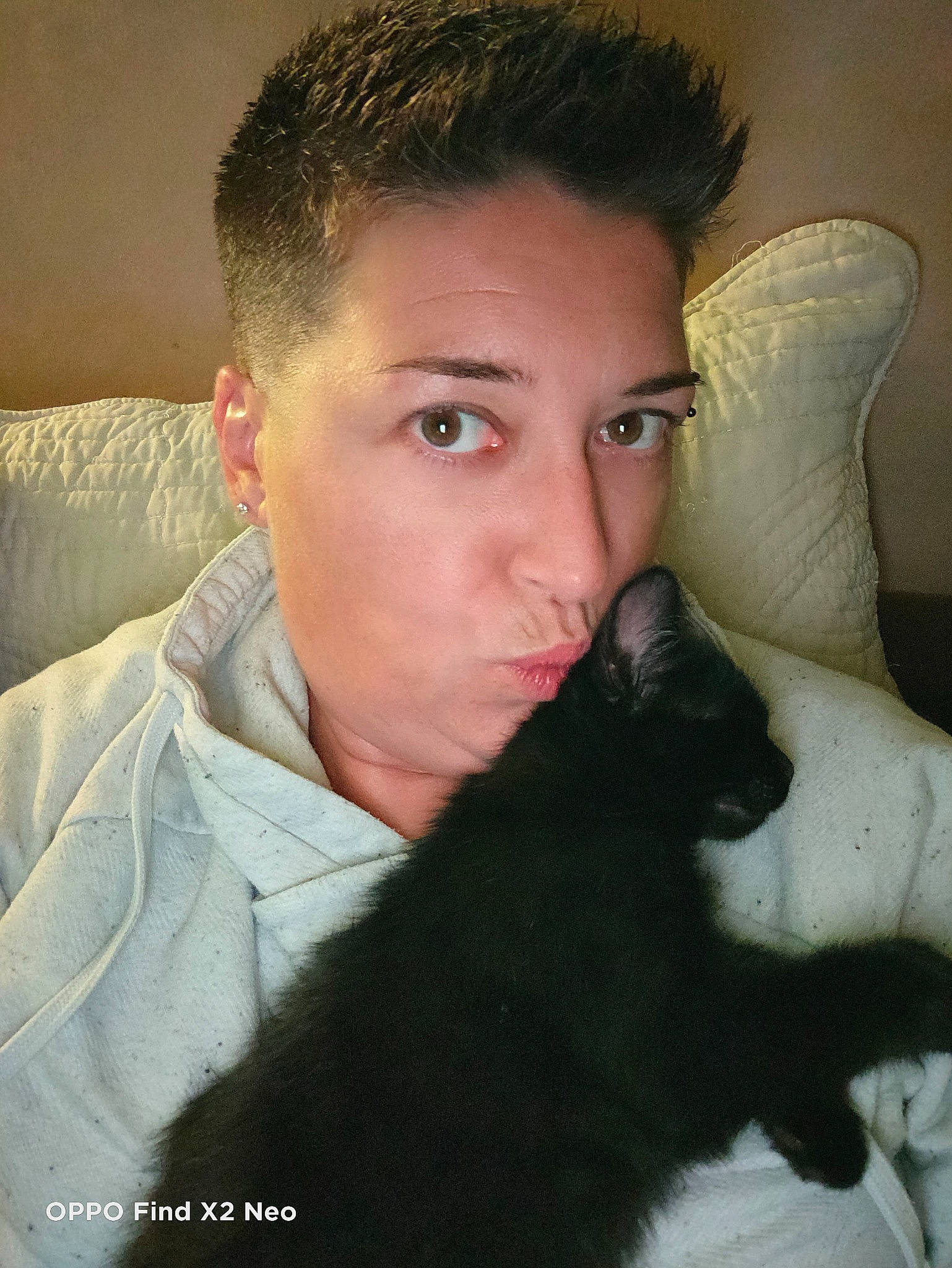 Sweety a rejoint le concours — aidez-le/la à gagner de superbes lots ! black_hair, carnivore, cat, comfort, companion_dog, ear, eye, eyebrow, eyelash, felidae, flash_photography, gesture, hair, head, iris, jaw, neck, nose, small_to_medium_sized_cats, whiskers