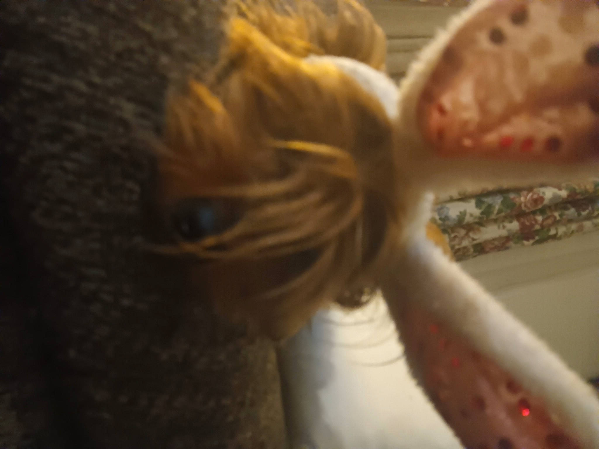 Crimson joined the competition — help win amazing prizes! canidae, companion_dog, dog_breed, fawn, felidae, fiber, fish, fur, human_leg, liver, snout, sporting_group, tail, terrestrial_animal, toy, whiskers, wildlife, wood