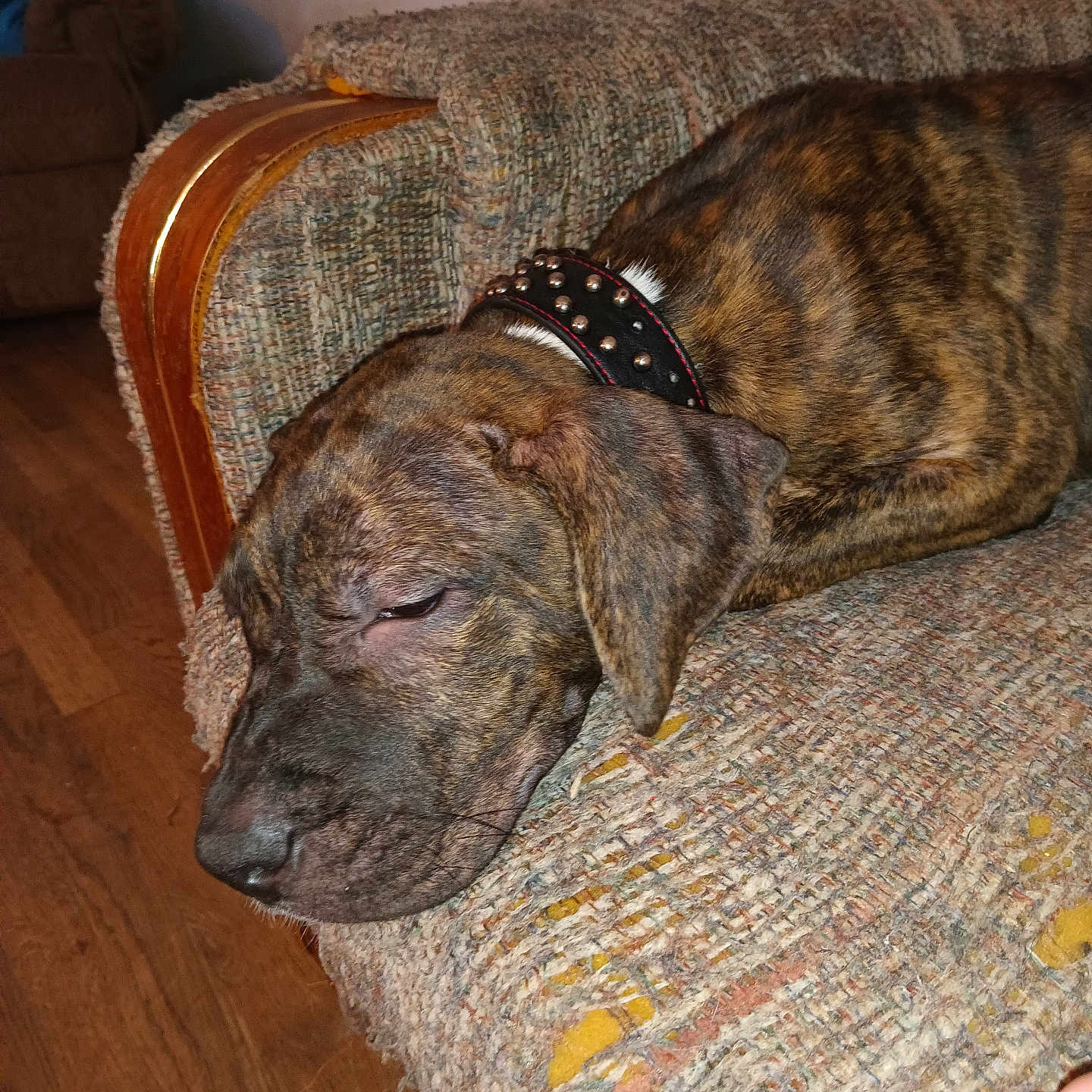 Freya