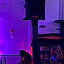 Pixie Evil Kitty joined the competition — help win amazing prizes! animal, black_cat, carpet, cat, cat_toy, cat_tree, collar, cozy, door, floor, furniture, hanging_toy, indoor, pet, purple_lighting, quiet, red_lights, shadow, toy_spiders, wall