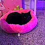 animal, anime_art, black_cat, carpet, cat, cozy, cute, decor, feline, floor, home, indoor, pet, pet_bed, pink, purple_lighting, relaxing, resting, soft, wall