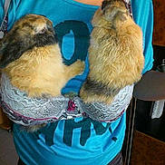 Coco participe au concours pour gagner de l'argent avec cette photo :