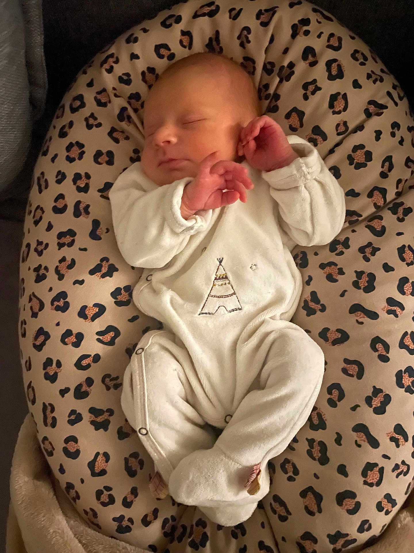 Maxence participe au concours pour gagner de l'argent avec cette photo : baby, newborn, sleeping, onesie, animal_print, cushion, leopard_print, soft_lighting, infant, cozy, cute, peaceful, portrait, child, resting, indoor, plush, white_clothing, hands, face