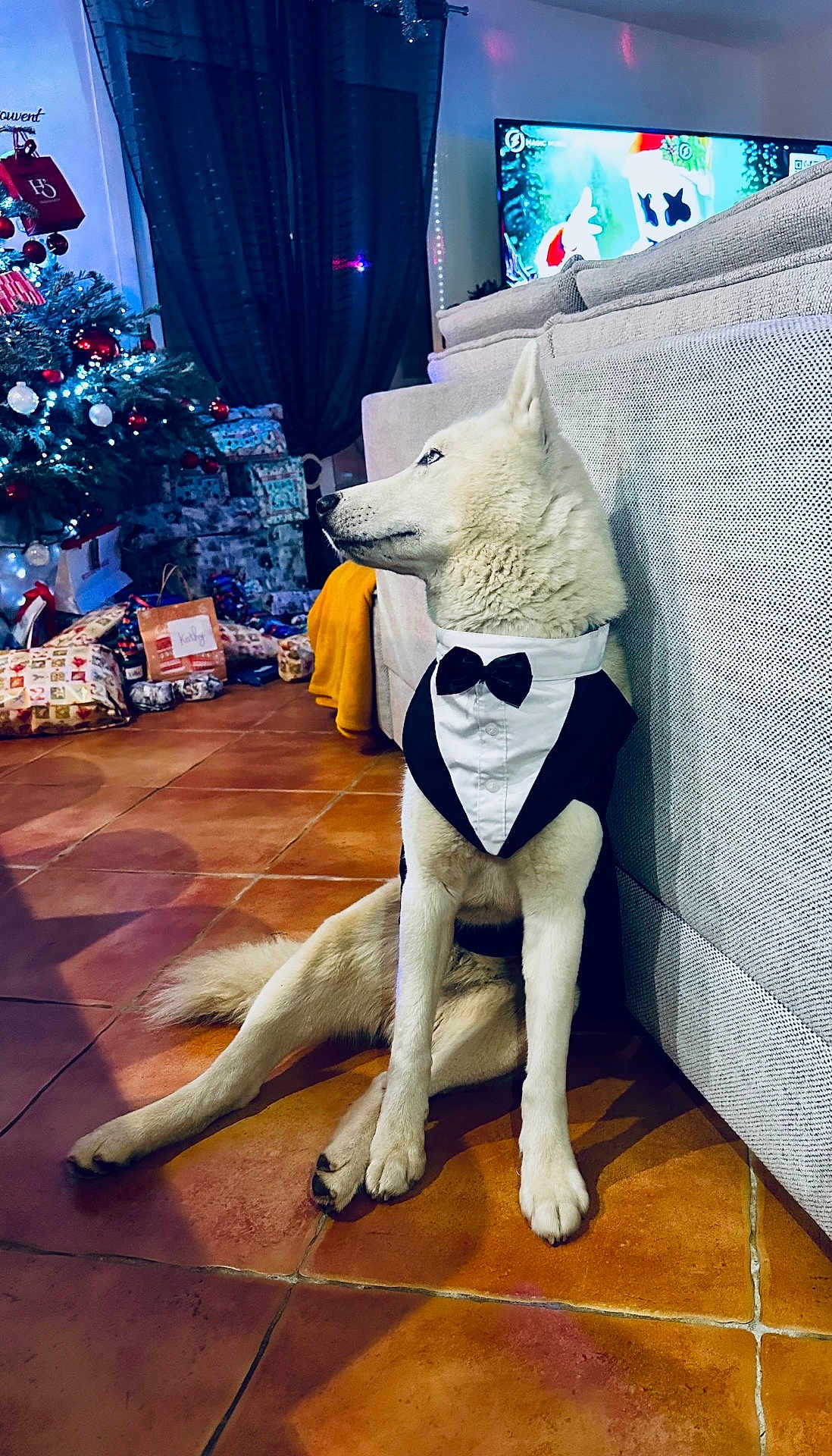 Meeko