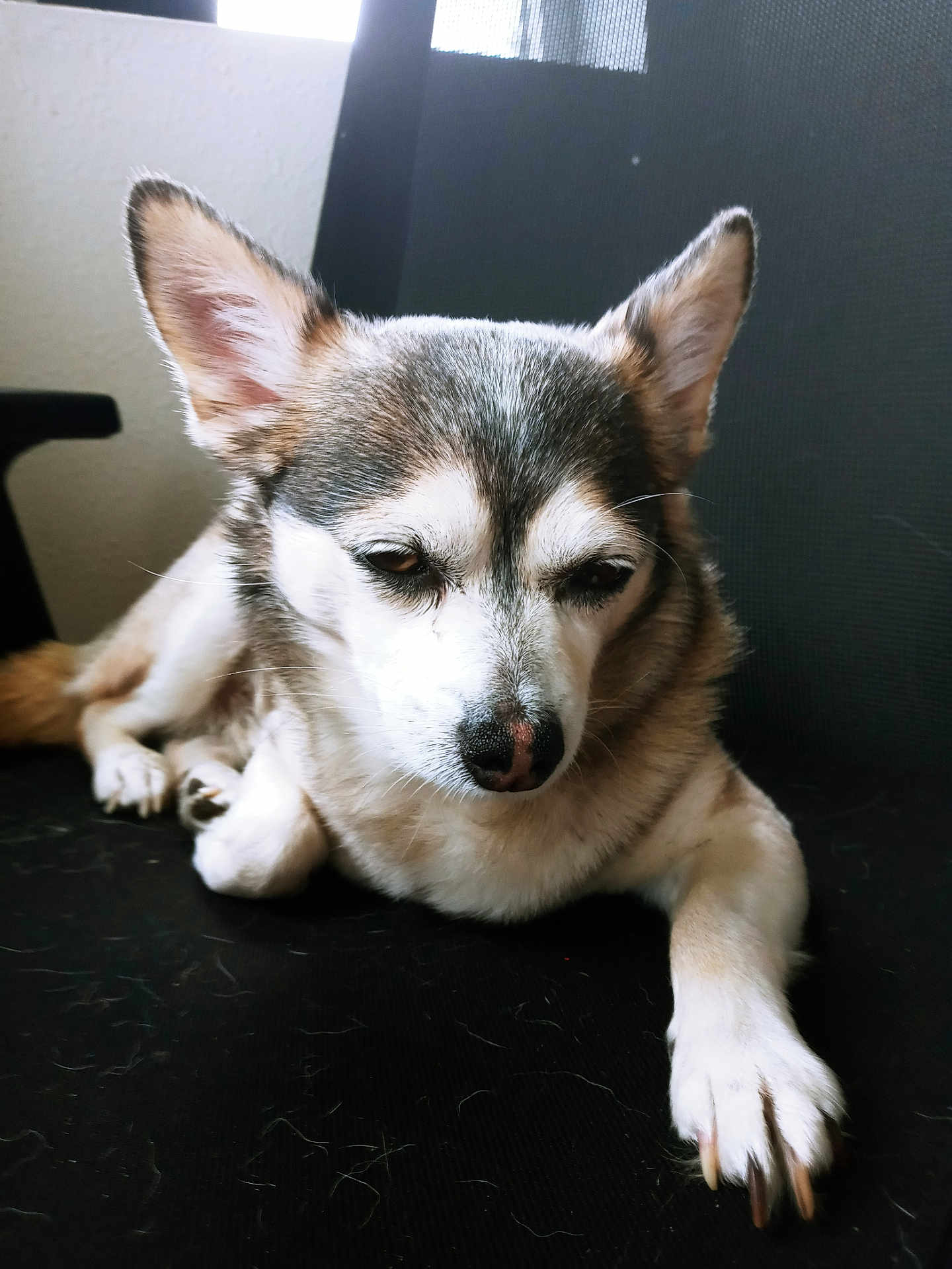 Rocko