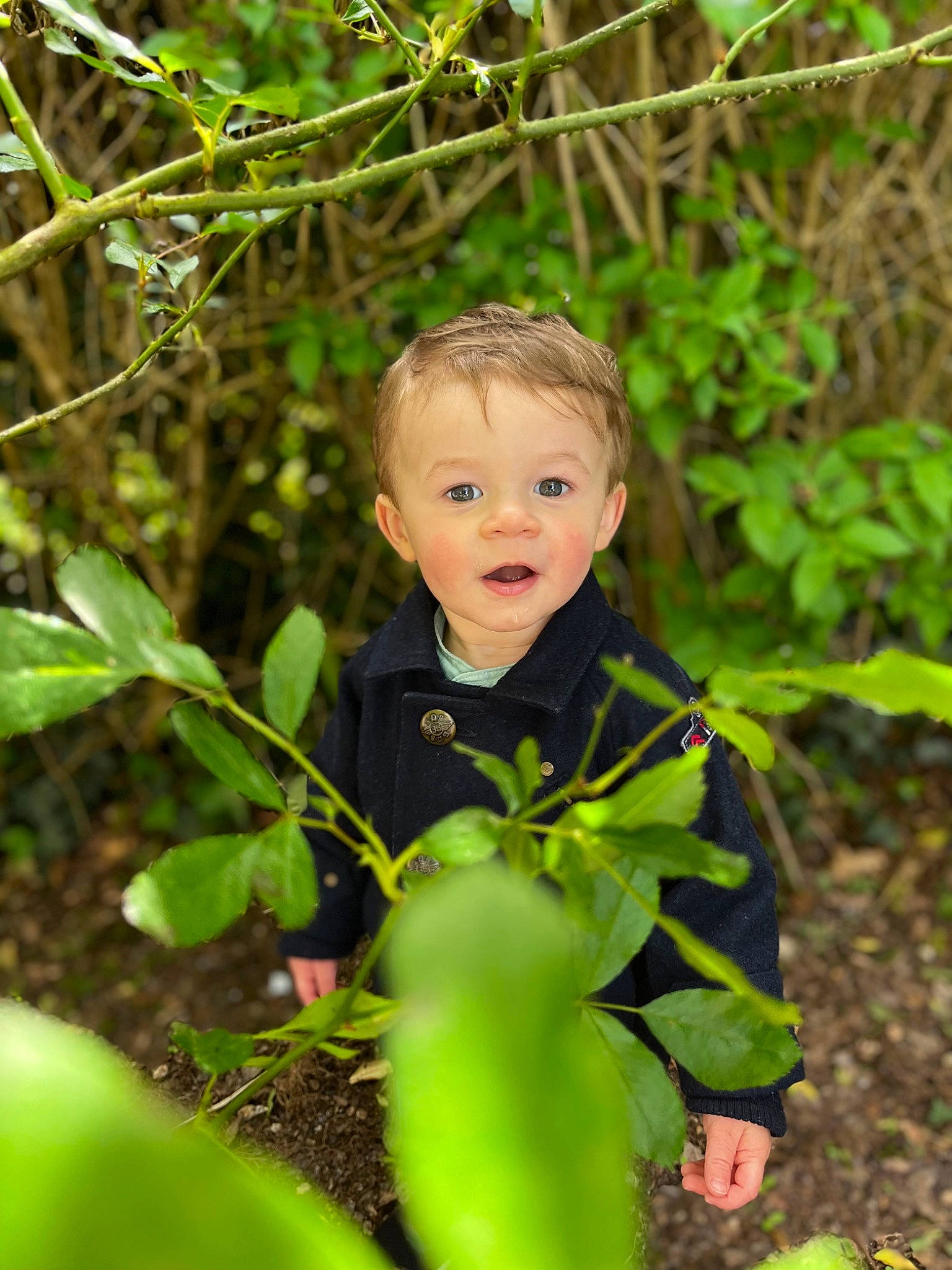 Isaac a rejoint le concours — aidez-le/la à gagner de superbes lots ! baby, baby_toddler_clothing, eye, face, grass, hair, happy, head, iris, leisure, natural_environment, natural_landscape, people_in_nature, person, plant, smile, terrestrial_plant, toddler, tree, wood