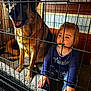 child, dog, crate, pacifier, indoors, wooden_floor, metal_bars, pajamas, large_dog, german_shepherd, sitting, pet, cage, baby, curious, furniture, home, animal, cute, toddler