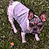 Rosco