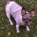 Heidi M.