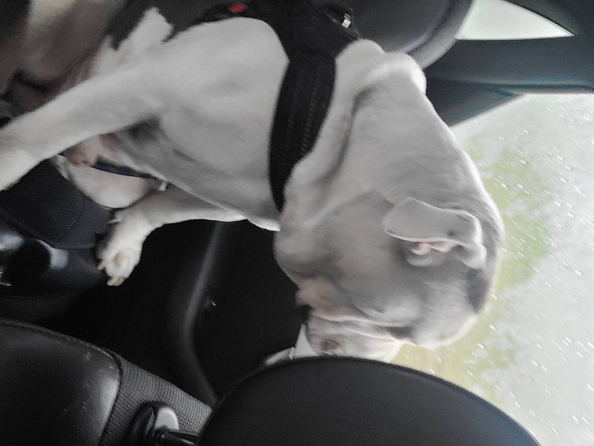 Laïko a rejoint le concours — aidez-le/la à gagner de superbes lots ! art, auto_part, automotive_design, barechested, chest, elbow, event, foot, gesture, human_body, human_leg, knee, monochrome, monochrome_photography, nail, sculpture, steering_wheel, style, thigh, trunk