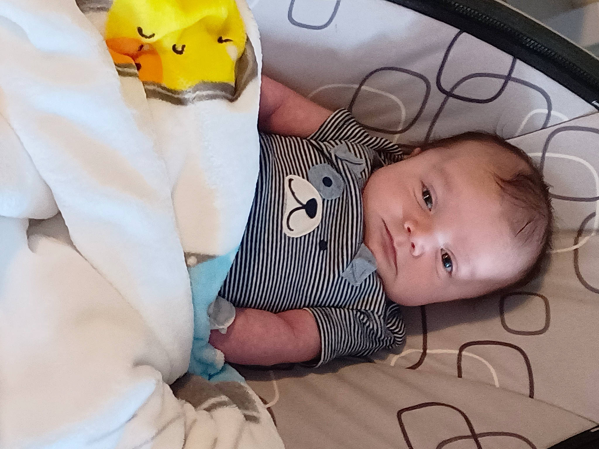 Maverick joined the competition — help win amazing prizes! baby, baby_products, baby_safety, baby_toddler_clothing, bag, cheek, child, comfort, fashion_accessory, infant_bed, linens, pattern, person, room, skin, sleeve, smile, toddler, vertebrate, white