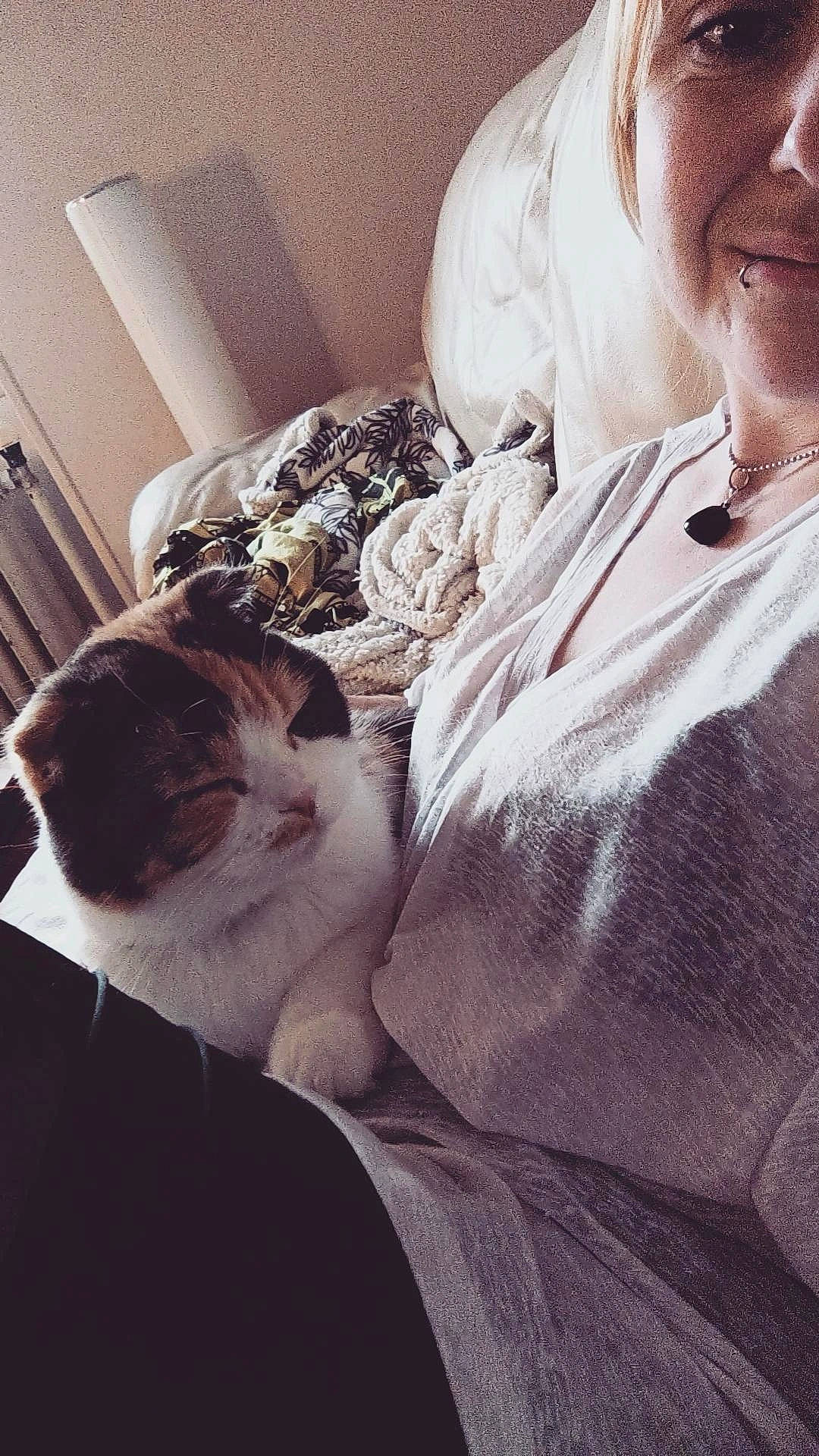 Mimi a rejoint le concours — aidez-le/la à gagner de superbes lots ! carnivore, cat, comfort, companion_dog, domestic_short_haired_cat, eyewear, felidae, flooring, fur, grey, happy, hat, lap, leg, monochrome, selfie, sitting, small_to_medium_sized_cats, tail, whiskers