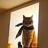 cat, orange_tabby, scarf, polka_dot, window, alcove, figurines, yellow, black, orange, sitting, indoor, pet, animal, cute, decor, sill, soft_light, portrait, mammal