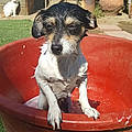 Marybell C. C.