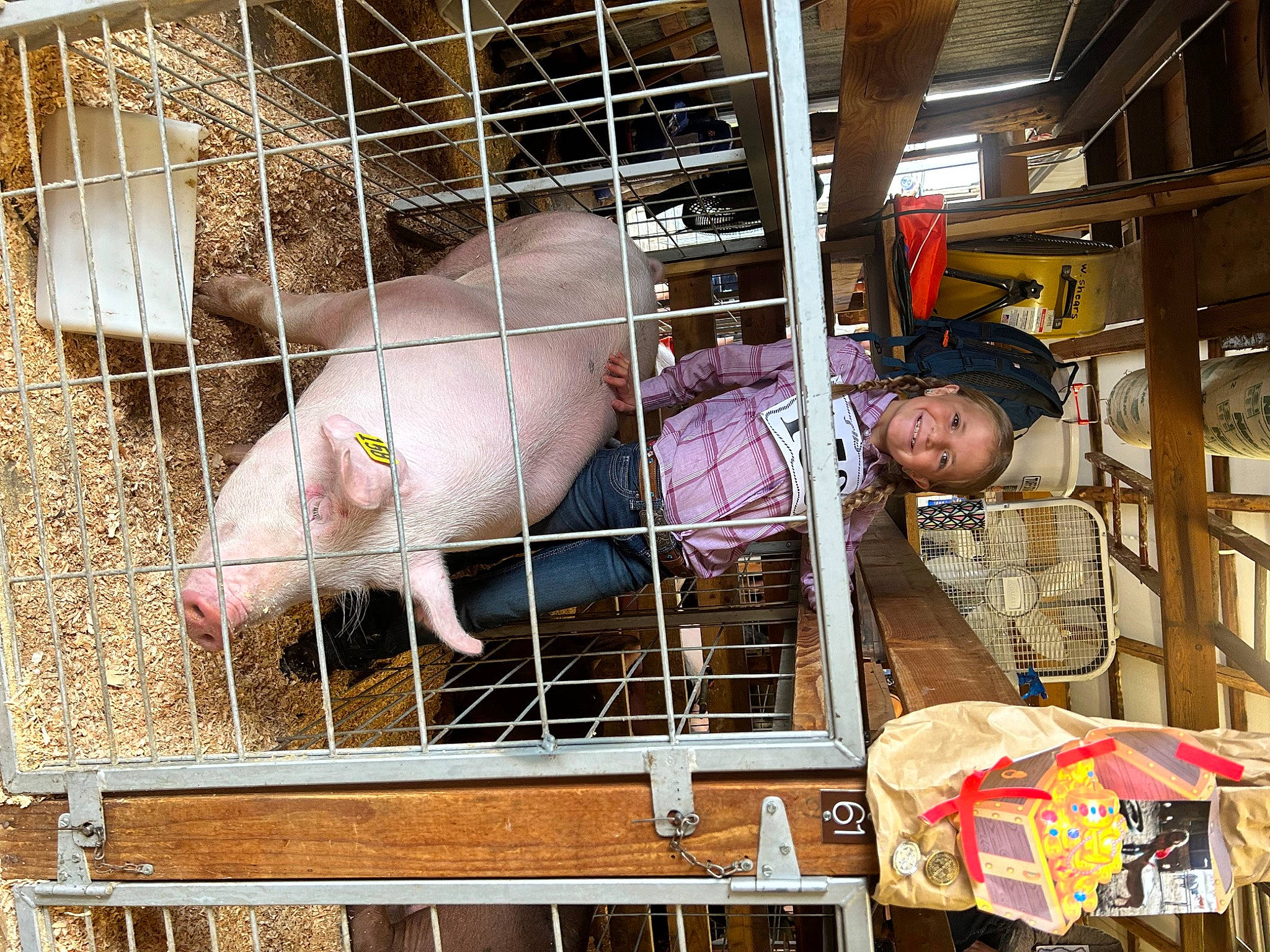 Elizabeth is registered to the contest to win money with this photo: animal_shelter, cage, engineering, event, fur, joy, livestock, person, pet_supply, poultry, rabbit, rabbits_and_hares, service, snout, suidae, working_animal