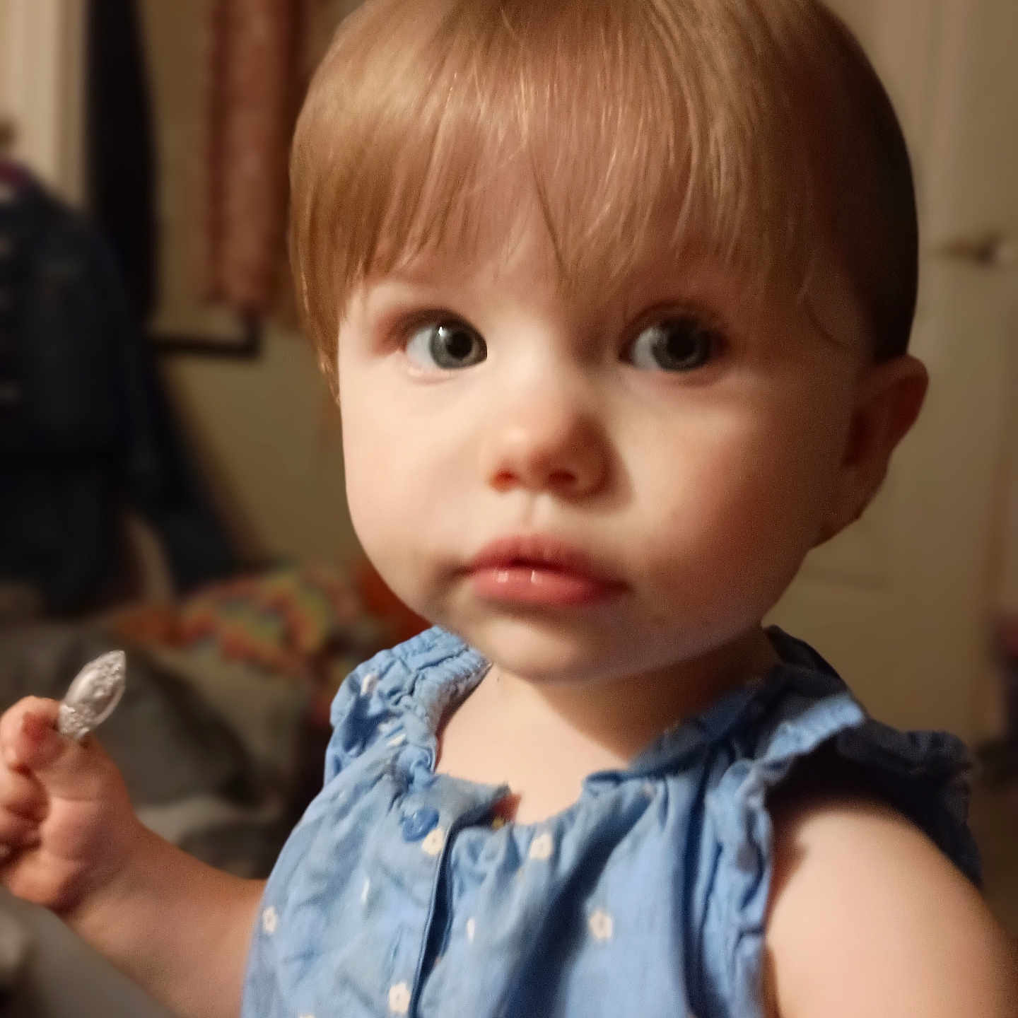 Lynnleigh is registered to the contest to win money with this photo: blue_dress, blurry_background, casual_clothing, child, closeup, curious, expression, face, holding, indoor, looking_away, object, person, portrait, short_hair, skin, small_hand, soft_lighting, toddler, young_child