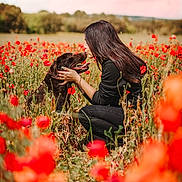 Bella participe au concours pour gagner de l'argent avec cette photo : woman, dog, field, flowers, poppies, nature, outdoor, love, affection, pet, animal, grass, crouching, happy, smiling, daylight, casual_clothing, long_hair, red_flowers, greenery