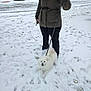 snow, dog, leash, person, winter_coat, sidewalk, footprints, parked_cars, white_dog, cold_weather, urban, street, tire_tracks, gloves, outdoor, pet, walking, canine, winter, daytime