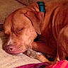 Lexi joined the competition — help win amazing prizes!