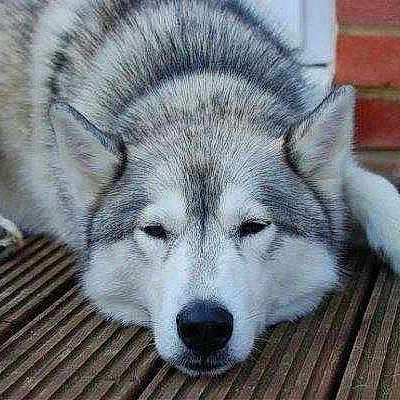 Sky is registered to the contest to win money with this photo: