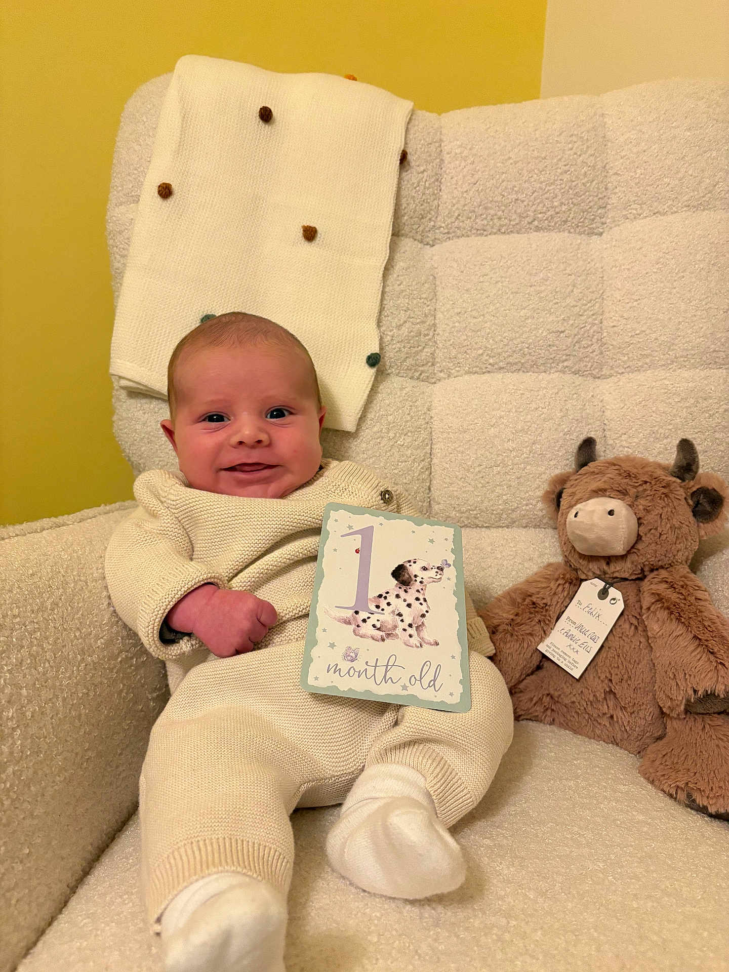 Felix joined the competition — help win amazing prizes! baby, infant, milestone_card, stuffed_animal, armchair, knitwear, smiling, cozy, indoor, soft_toys, plush, one_month, milestone, cute, child, face, person, blanket, yellow_wall, comfortable