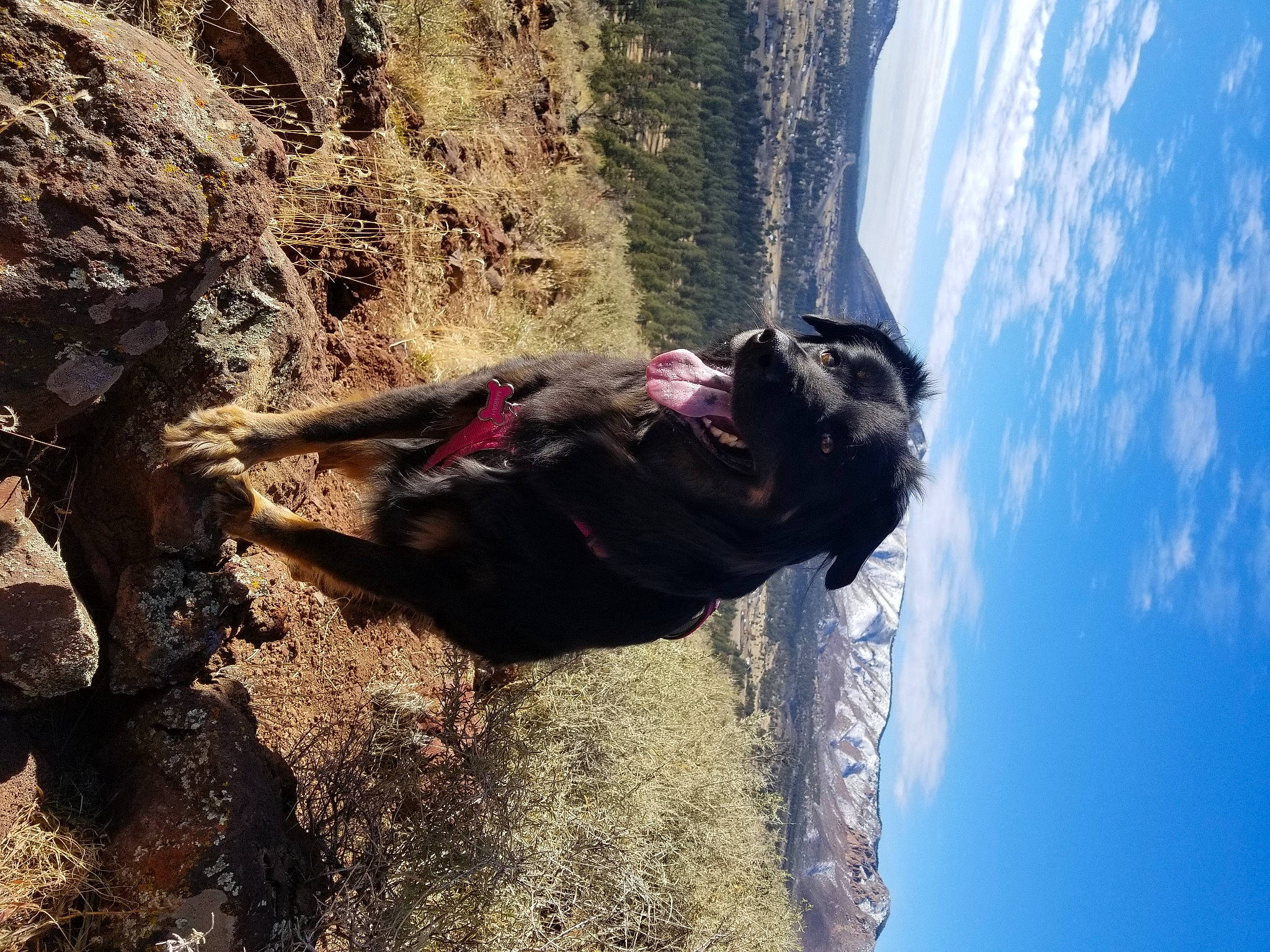 Mariah joined the competition — help win amazing prizes! adventure, cliff, climbing, formation, fun, geology, recreation, rock, rock_climbing, terrain