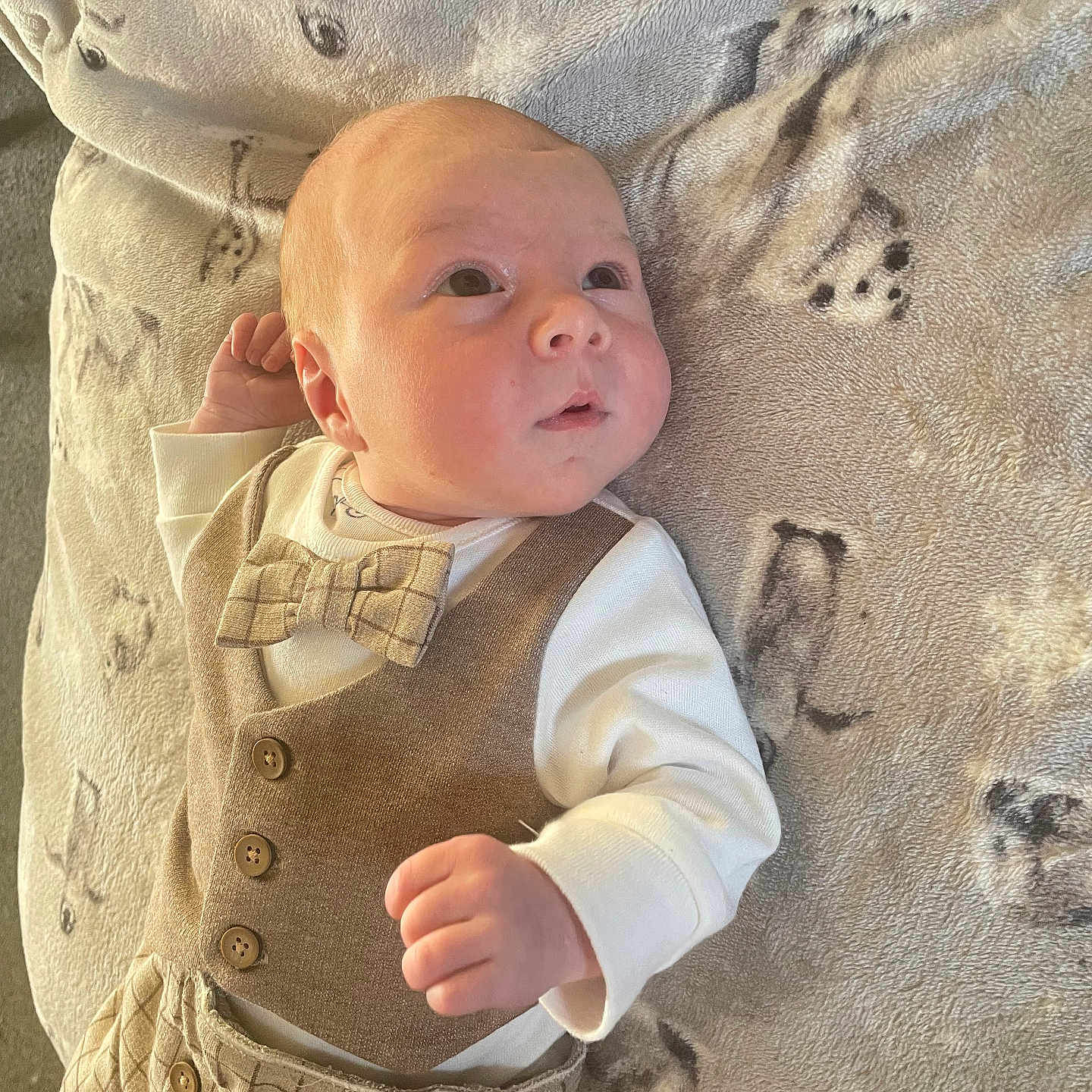 Jaxx-James joined the competition — help win amazing prizes! baby, blanket, bow_tie, button, child, clothing, curious, cute, fabric, face, hand, indoors, infant, lying_down, newborn, pattern, portrait, soft_texture, vest, warm_lighting
