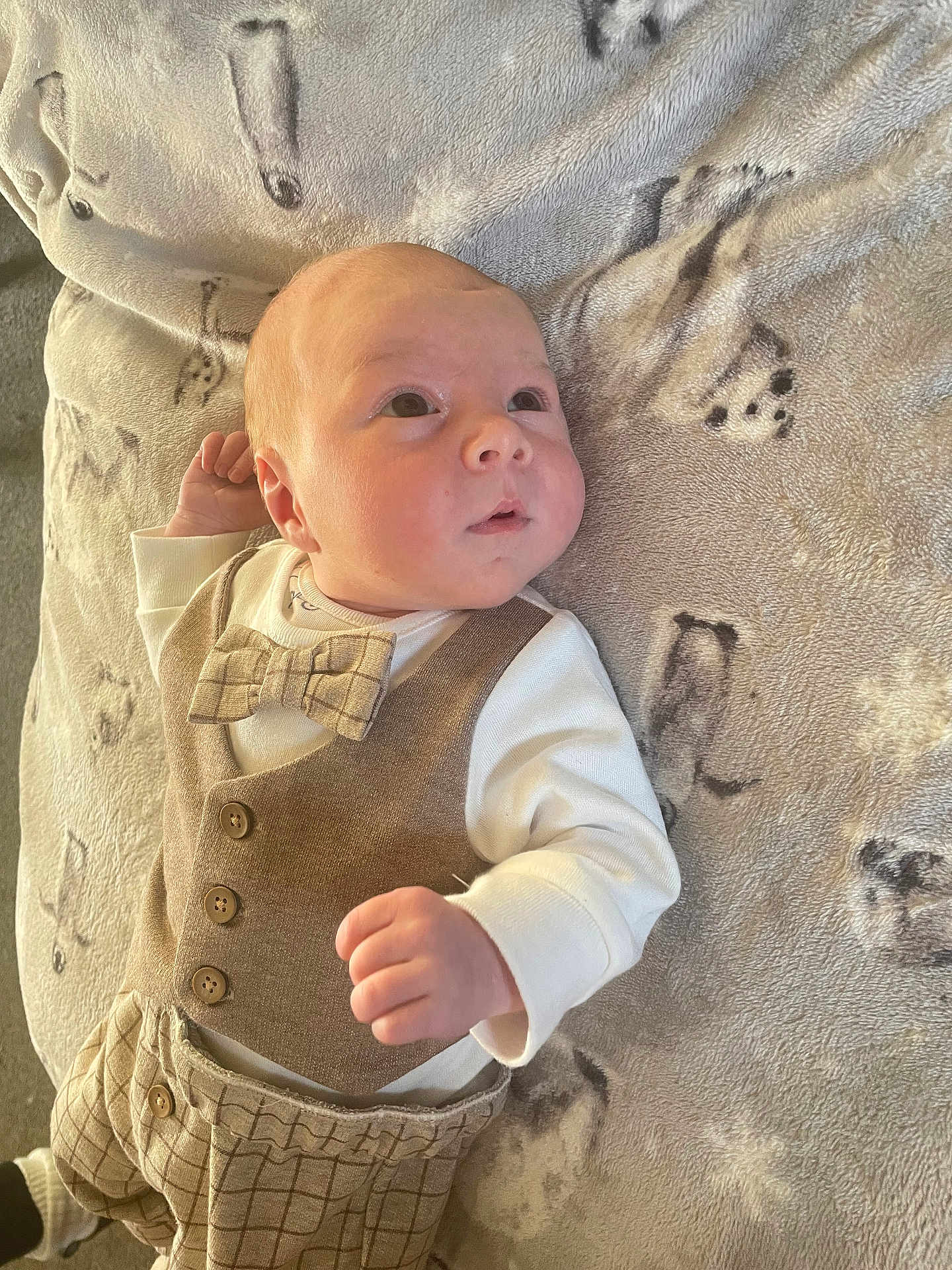 Jaxx-James joined the competition — help win amazing prizes! baby, blanket, bow_tie, button, child, clothing, curious, cute, fabric, face, hand, indoors, infant, lying_down, newborn, pattern, portrait, soft_texture, vest, warm_lighting