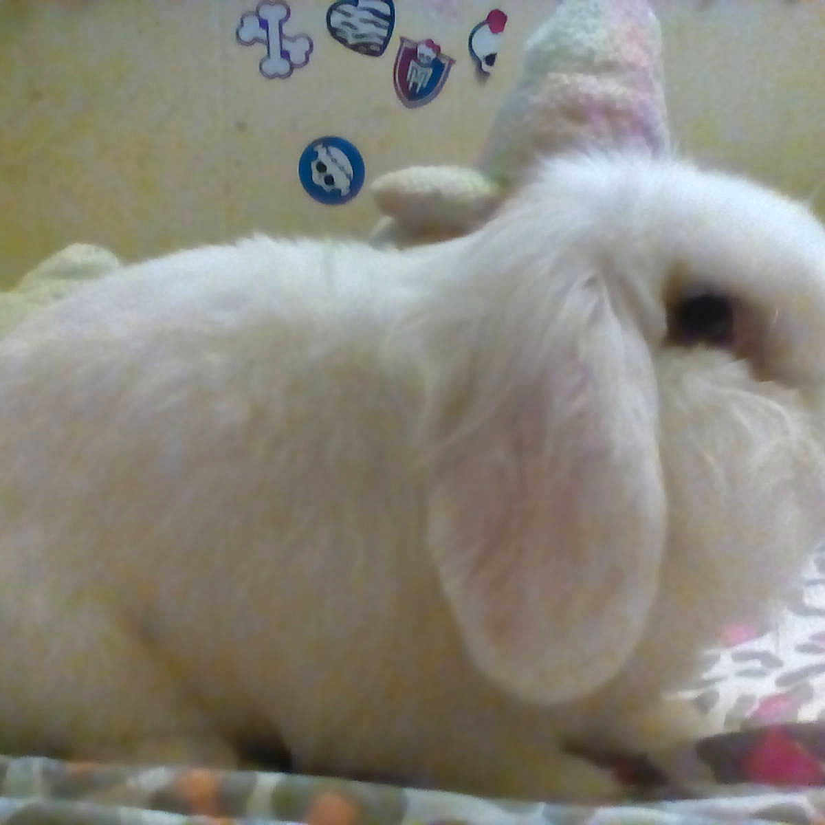 Fluffy